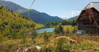 08082019-coco-1.jpg 08082019-coco-1.jpg