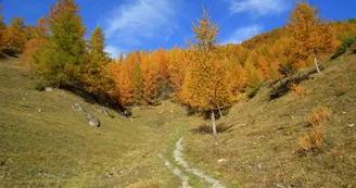 Combe du Barmail
