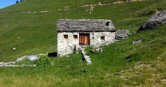 lavachey