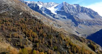 bois du Barmail
