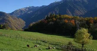 Bonvillaret