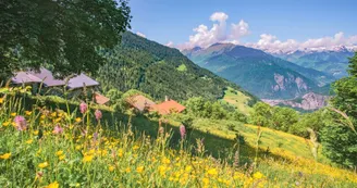 Hauteville Hauteville