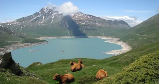Lac du Mont-Cenis