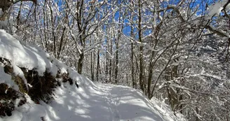 Chemin Raquette