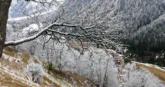 Sentier des noisettes Sentier des noisettes