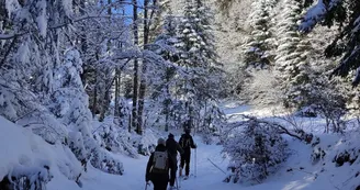en chemin
