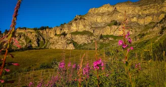 La Roche Parstire La Roche Parstire