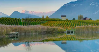 Lac St André et Vignobles du Granier