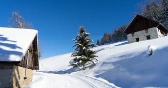 Montée des Bachals