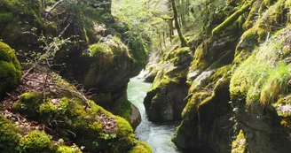 Le long du Cozon