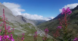 Col du Galibier