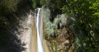 La vigne sous les Cascades