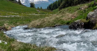Le ruisseau de Pramain Le ruisseau de Pramain