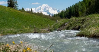 Le ruisseau de Pramain Le ruisseau de Pramain