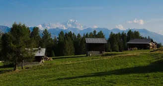 Plateau de Plan Bois