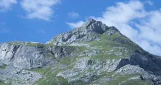 Pététruy