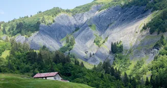 Pététruy