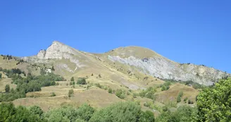 13396168.jpg 13396168.jpg