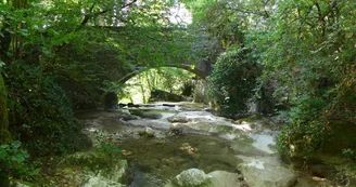 Le pont de Sécheron à  Jacob-Bellecombette