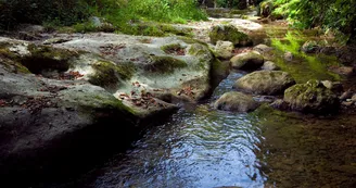 Nant du Pontet à Jacob-Bellecombette