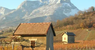 les sartos