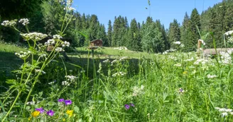 Plateau de Lachat