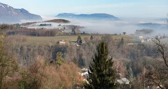 Vue de vimines