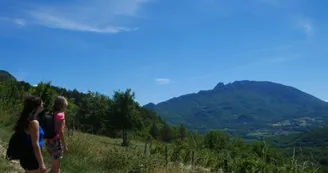 Paysages sur les flancs du Mont de la Charvaz