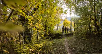 Automne à la Planchette