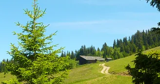 13718726.jpg