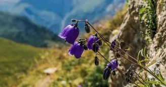 Col de l'entreporte