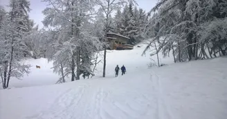 Ski de randonnée