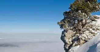 Panorama Margériaz