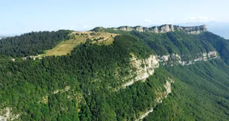 plateaurevard