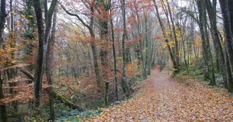 sentier Tour des hameaux