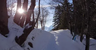 Sentier des Paquiers