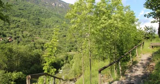 Le village de Villarnard par les Chavonnes Le village de Villarnard par les Chavonnes