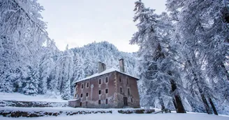 Palais de la mine
