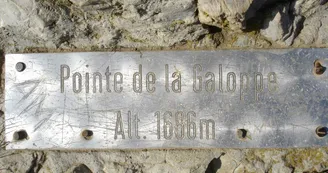 Randonnée "Pointe de la Galoppaz"