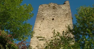 Les Tours de Montmayeurs