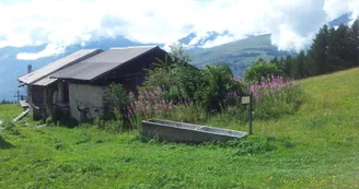 Barmont