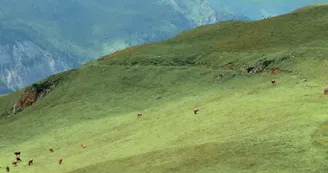 mont pourri