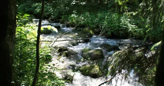 La rivière du Doron à Beaufort