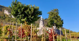 Notre dame des Vignes