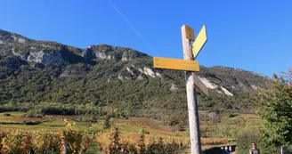 Vignes d'Arbin