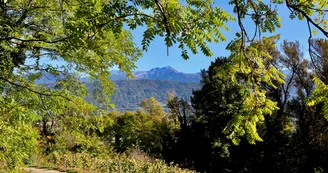 Vue sur Belledonne