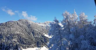 Montée aux Choseaux depuis Beaufort Montée aux Choseaux depuis Beaufort