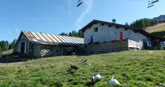 Bergerie du Rey
