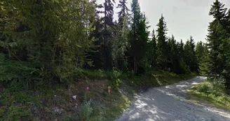 Plan-Peisey/Bergerie du Rey