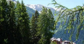 Balade Vallandry Arc 1800 Balade Vallandry Arc 1800